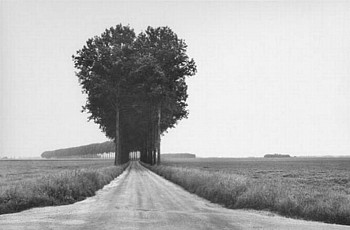 Henri Cartier-Bresson -&nbsp;Brie, France, 1968