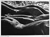 Lucien Clergue, Les geantes, Camargue
1978, Gelatin silver print (black & white)