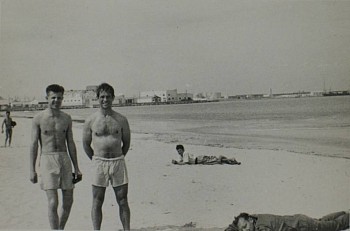 Artist: Ginsberg, Allen