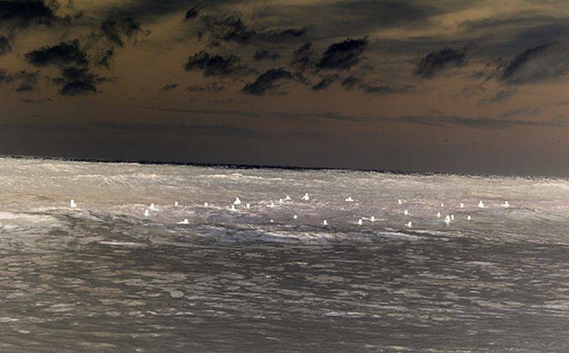 Richard Misrach
Untitled, 2007
40 x 64 in. (101.6 x 162.6 cm)
Edition #3/7