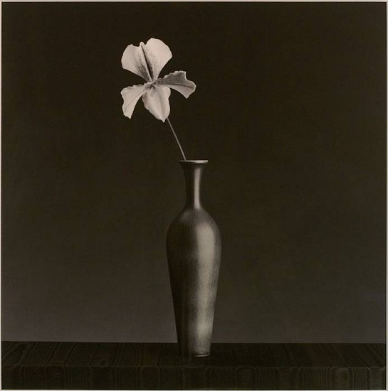 Robert Mapplethorpe
Orchid, 1988
Gelatin silver print (black & white)
19 x 19 in. (48.3 x 48.3 cm)
Edition 8/10