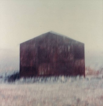 Michal Rovner -&nbsp;Untitled No. 11 from Outside Series