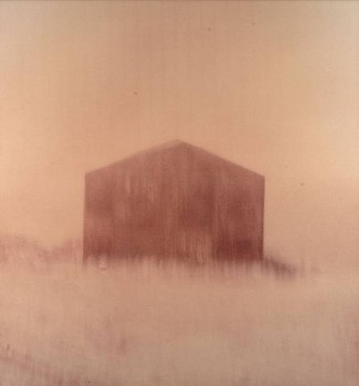 Michal Rovner -&nbsp;Untitled No. 8 from Outside Series