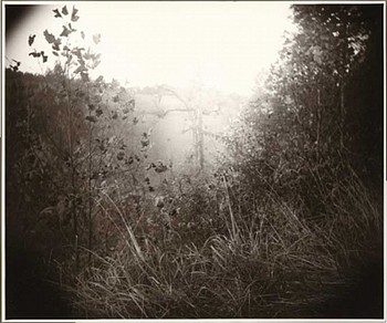 Sally Mann - Untitled (from the portfolio America: Now + Here)