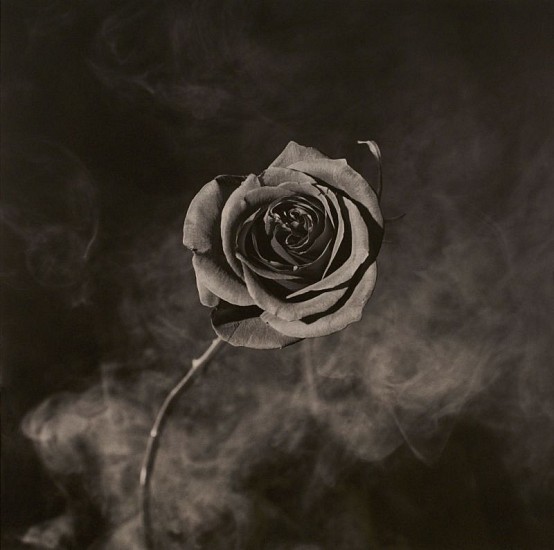 Robert Mapplethorpe
Rose with Smoke, 1985
Gelatin silver print (black & white)
20 x 16 in. (50.8 x 40.6 cm)
Edition 8/10