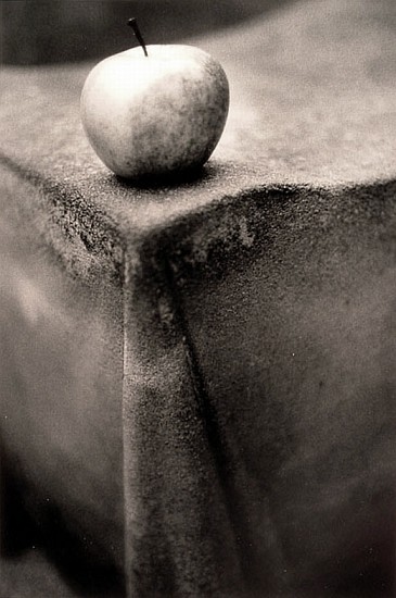 Jill Mathis
Untitled (Apple), 1992
Gelatin silver print (black & white)
12 x 8 in. (30.5 x 20.3 cm)