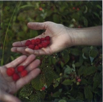 Susan Paulsen -&nbsp;Katonah