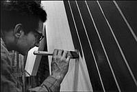 Frank Stella Biography