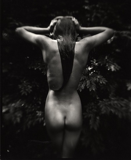 Sally Mann
Punctus, 1992; printed c. 1992
Gelatin silver print (black & white)
22 5/8 x 19 in. (57.5 x 48.3 cm)
Edition 11/25 Printed by the photographer or under the photographerâ€™s supervision from the original negative