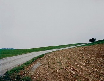 Thomas Struth -&nbsp;Mais-Acker, No. 22, Winterthur