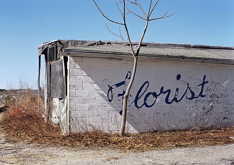 Adam Bartos
Country Road 80, Southampton, NY, 2010
Pigment print
33 x 43 5/8 in. (83.8 x 110.8 cm)
Edition 2/3