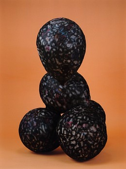 Nicolas Lobo -&nbsp;Balloon Collage (Palsy Version #6)